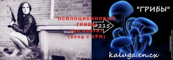 PSILOCYBIN Алексеевка