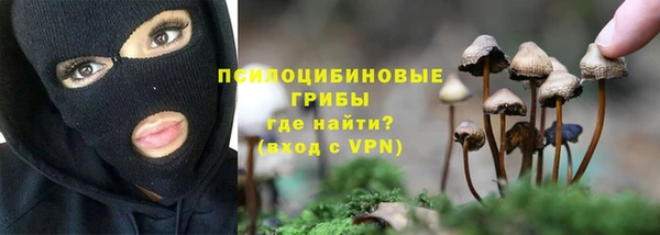 амф Алзамай