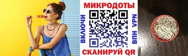 Псилоцибиновые грибы Psilocybe  Яхрома 